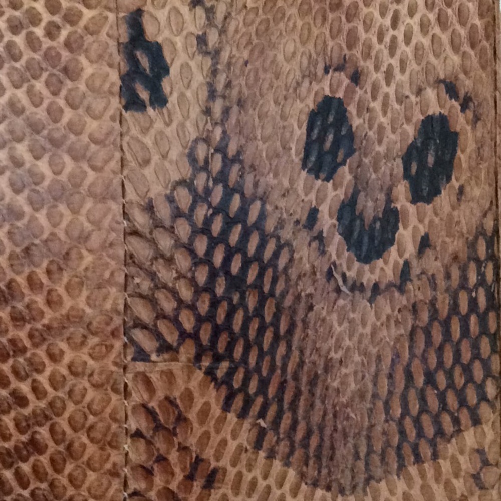 Genuine Python Snake Skin Briefcase - image 2